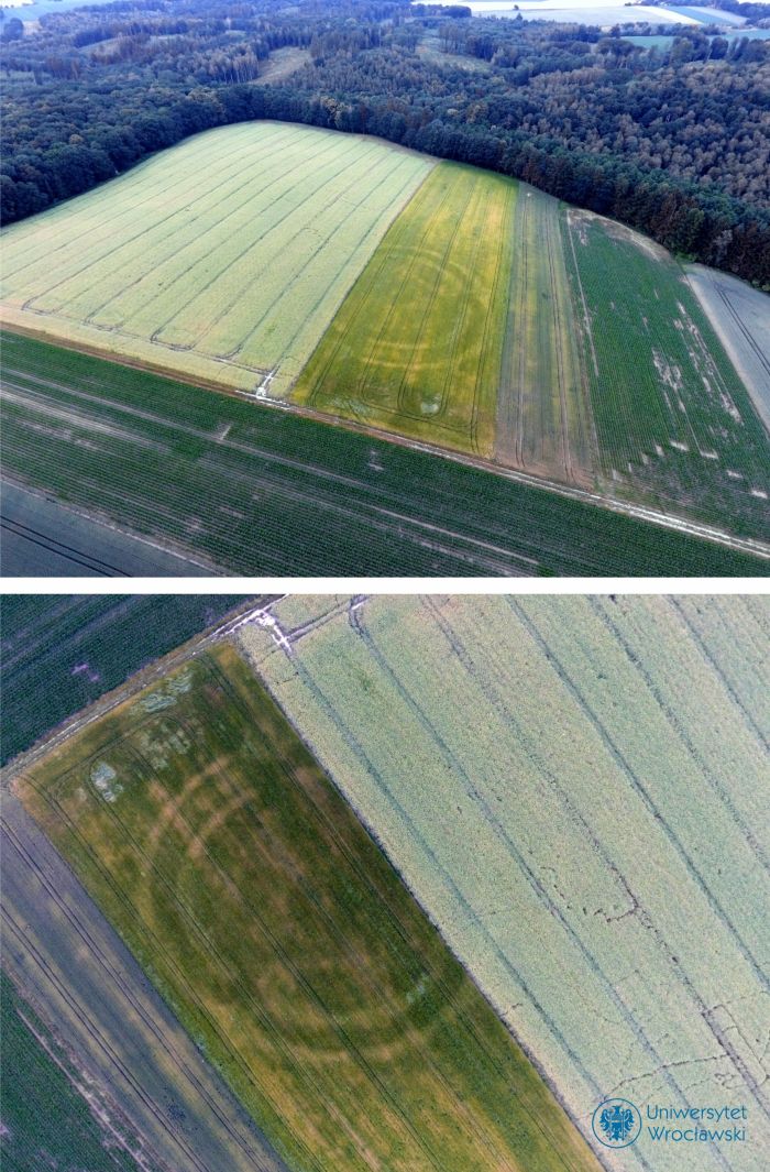 6.	Rondel w Bobolicach (pow. ząbkowicki) na zdjęciach lotniczych (foto Mirosław Furmanek)