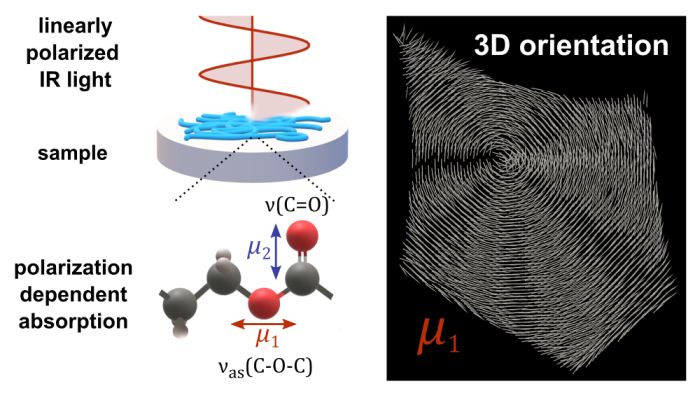 Fot: Schemat działania technologii, która umożliwia tworzenie map 3D materiału. Źródło: Paulina Kozioł et al., JACS 2022