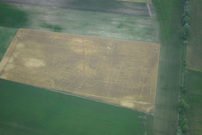  Pozostałości 3 neolitycznych chat trapezowatych, widoczne jako wyróżniki roślinne w lewej części zdjęcia na jasnym polu; sfotografowane na Kujawach, fot. F. Wałdoch   