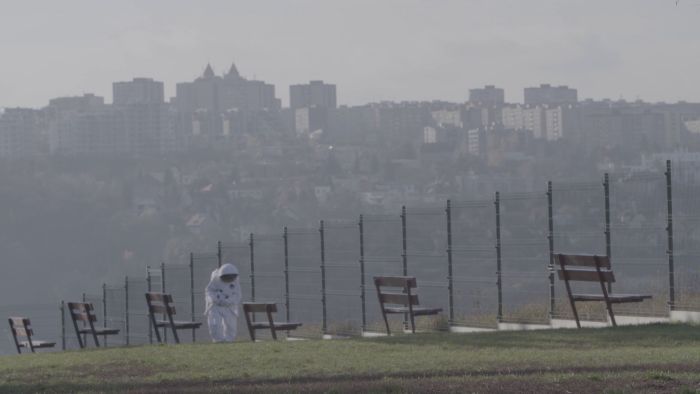 Bilet na księżyc. Reż. Veronika Janatkova