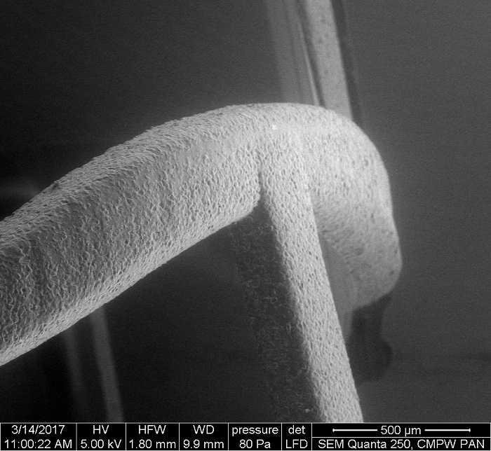 Powierzchnia stentu. Obraz uzyskany za pomocą skaningowego mikroskopu elektronowego. Źródło: CMPW PAN