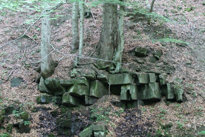 Archiwum prywatne Łukasz Pawlik