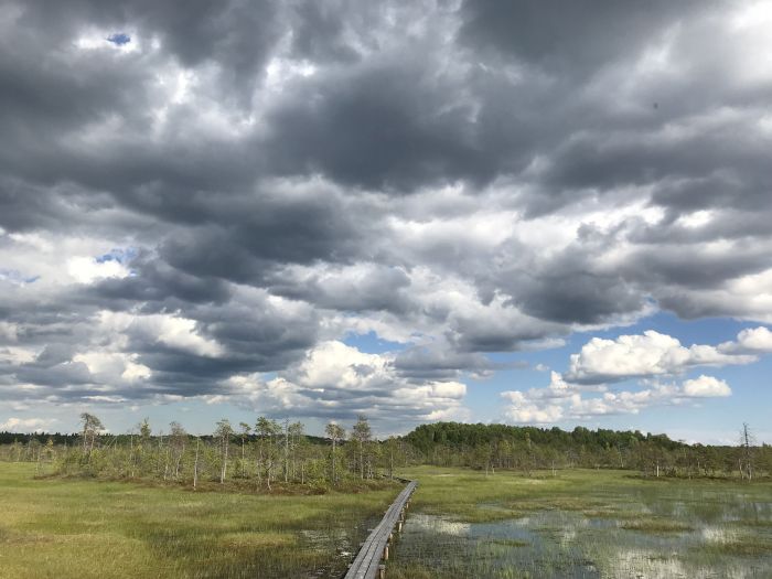 Siberian peat bogs