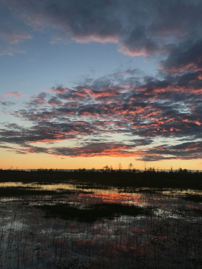 Siberian peat bogs