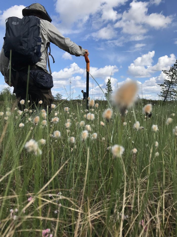 Siberian peat bogs