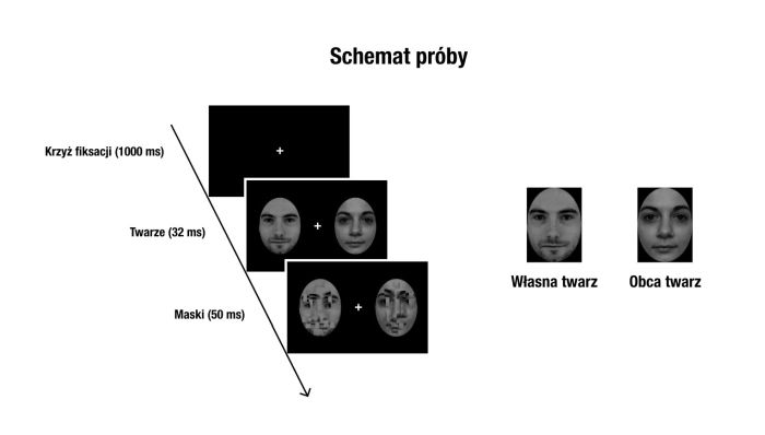 Schemat doświadczenia z rozpoznawaniem twarzy źródło: Michał Bola z zespołem 