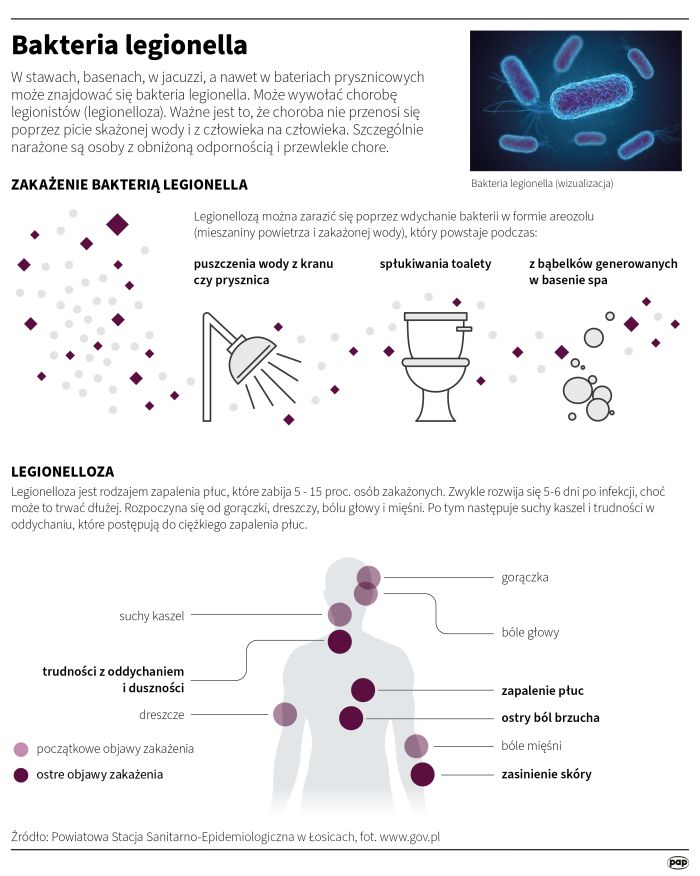 Źródło: Infografika PAP