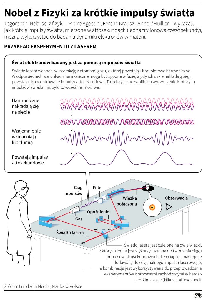 Fot. Infografika PAP