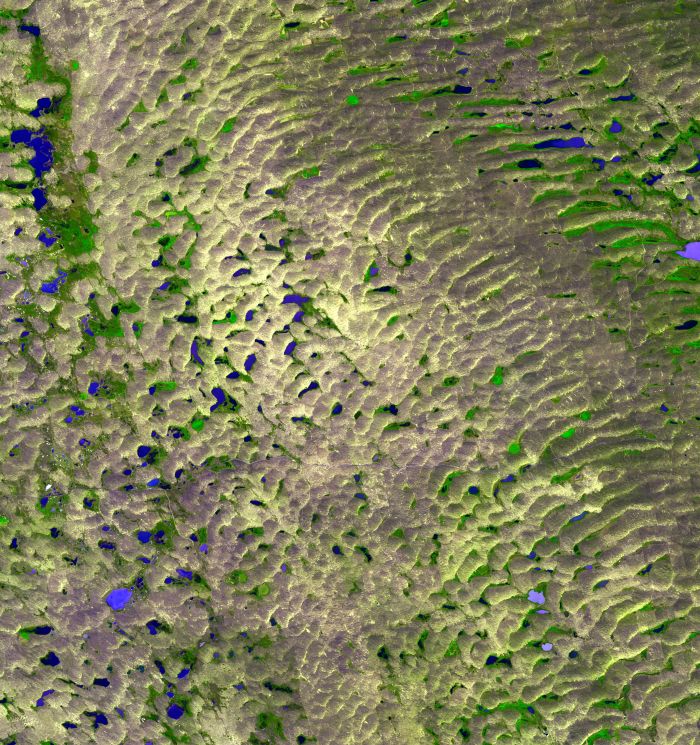 Fot: Sandhills, w Nebrasce, USA. Wydmy pochodzenia lodowcowego. Fot: NASA/METI/AIST/Japan Space Systems oraz U.S./Japan ASTER Science Team