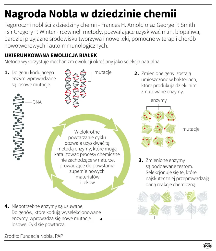 Źródło: Infografika PAP/ Maciej Zieliński