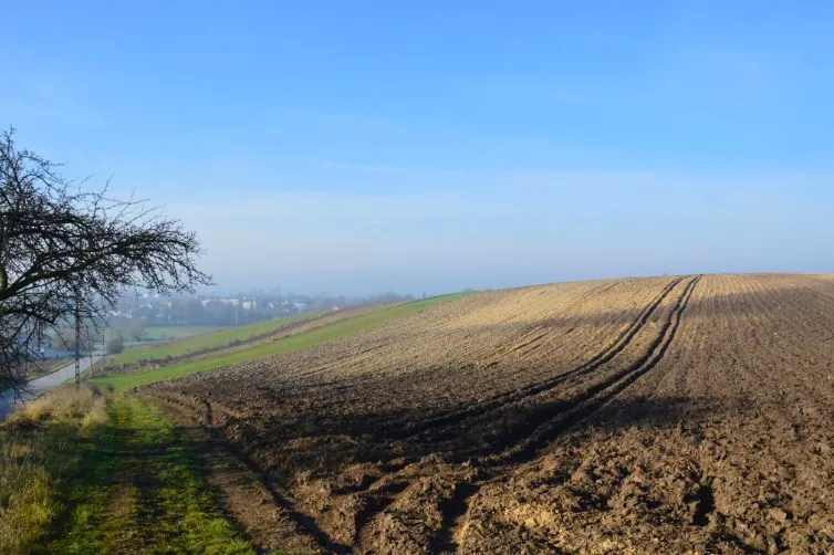 Picture: M. M. Przybyła