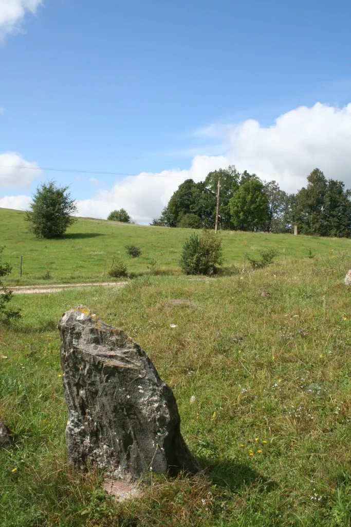 Stele kamienne na cmentarzysku w Jagintach gm. Nowy Dwór, woj. podlaskie. Fot. Hubert Lepionka