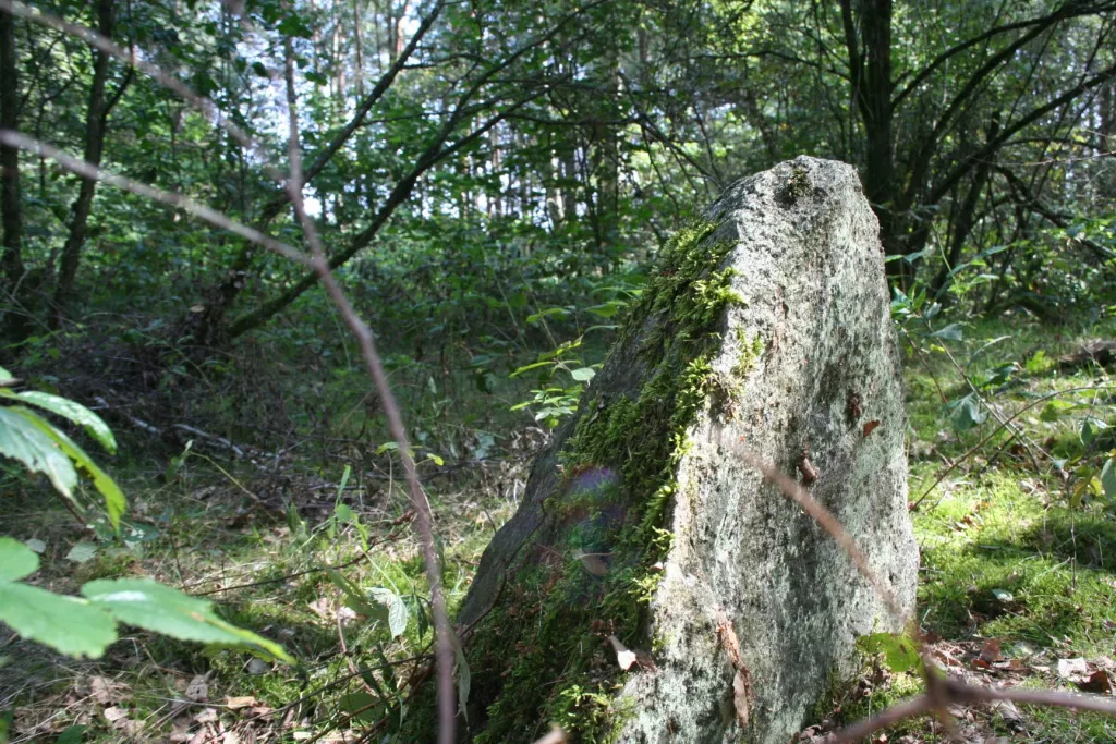 Stela na cmentarzysku w Jatwiezi Małej, gm. Suchowola, woj. podlaskie