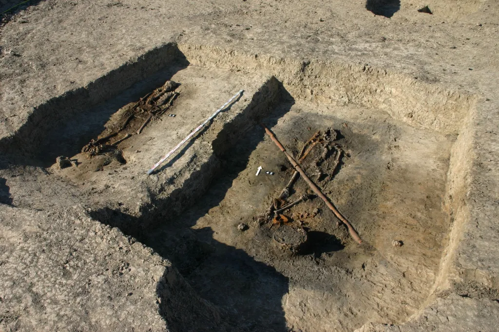  Dwa z grobów wojowników w czasie badań archeologów w Ciepłem. Fot. Z. Ratajczyk