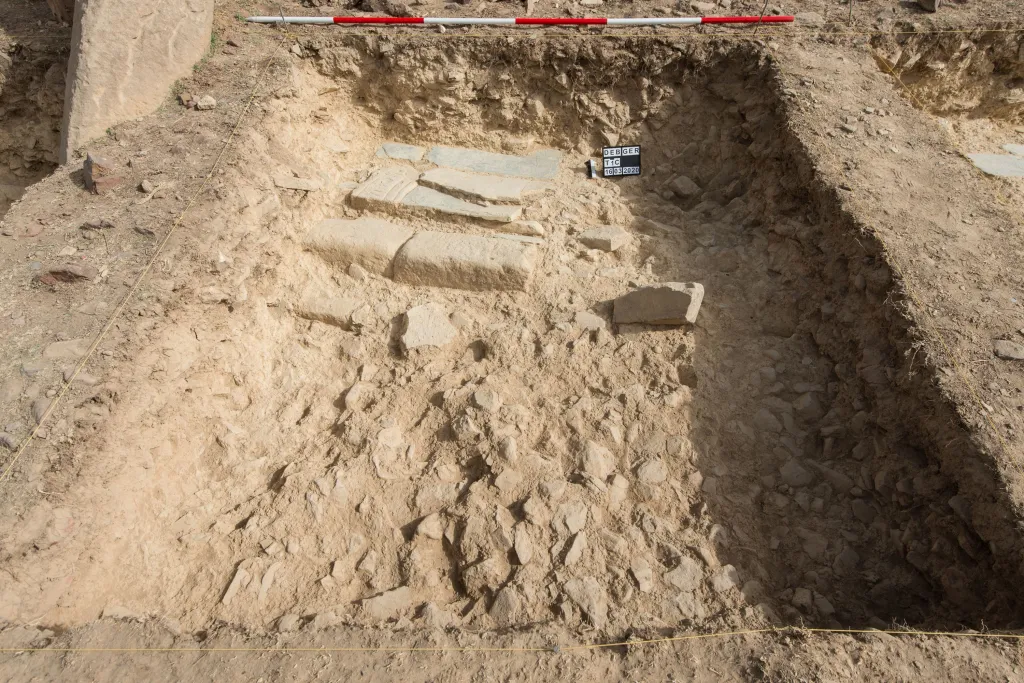 Photo: M. Mackiewicz/CAŚ UW