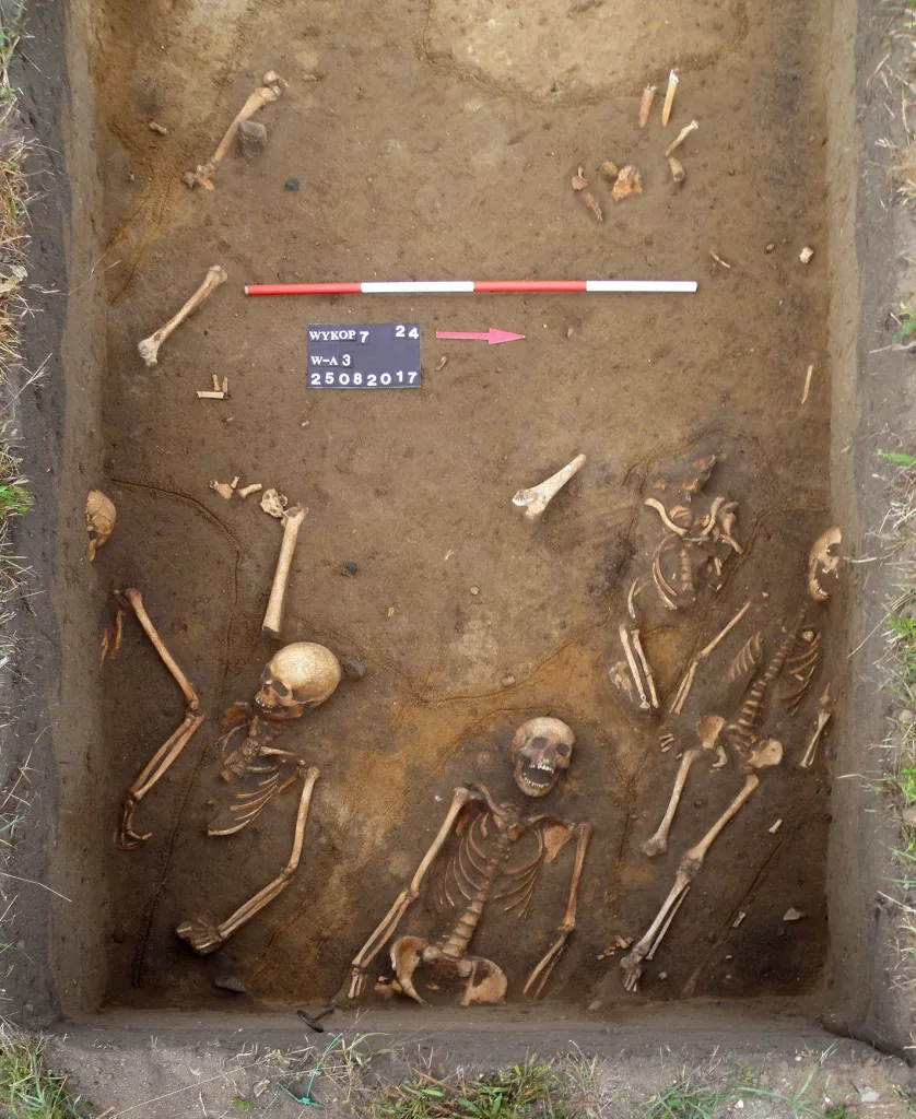 Photo: M. Krzepkowski