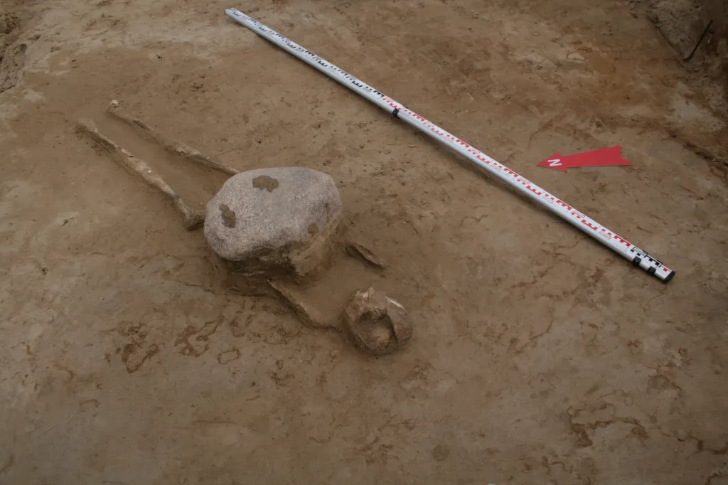 Photo: Jadwiga Lewandowska