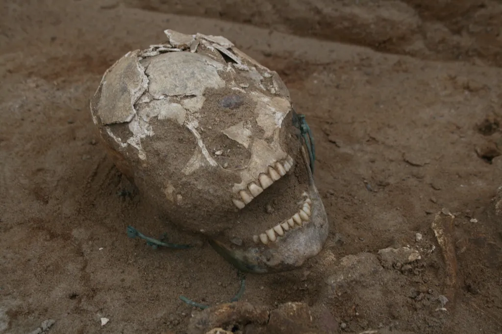 Photo: Jadwiga Lewandowska