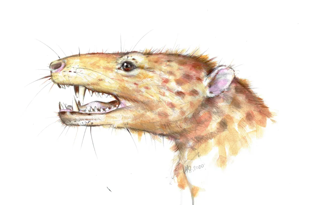 Artystyczna rekonstrukcja prassaka z Grenlandii, rys. Marta Szubert