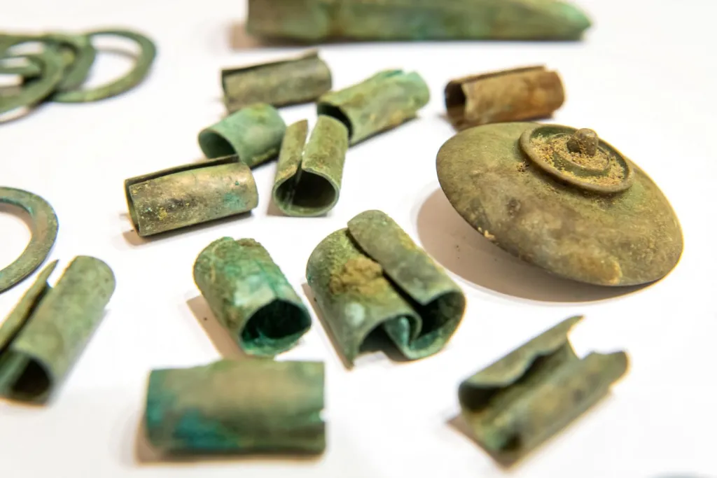 PAP/Tytus Żmijewski