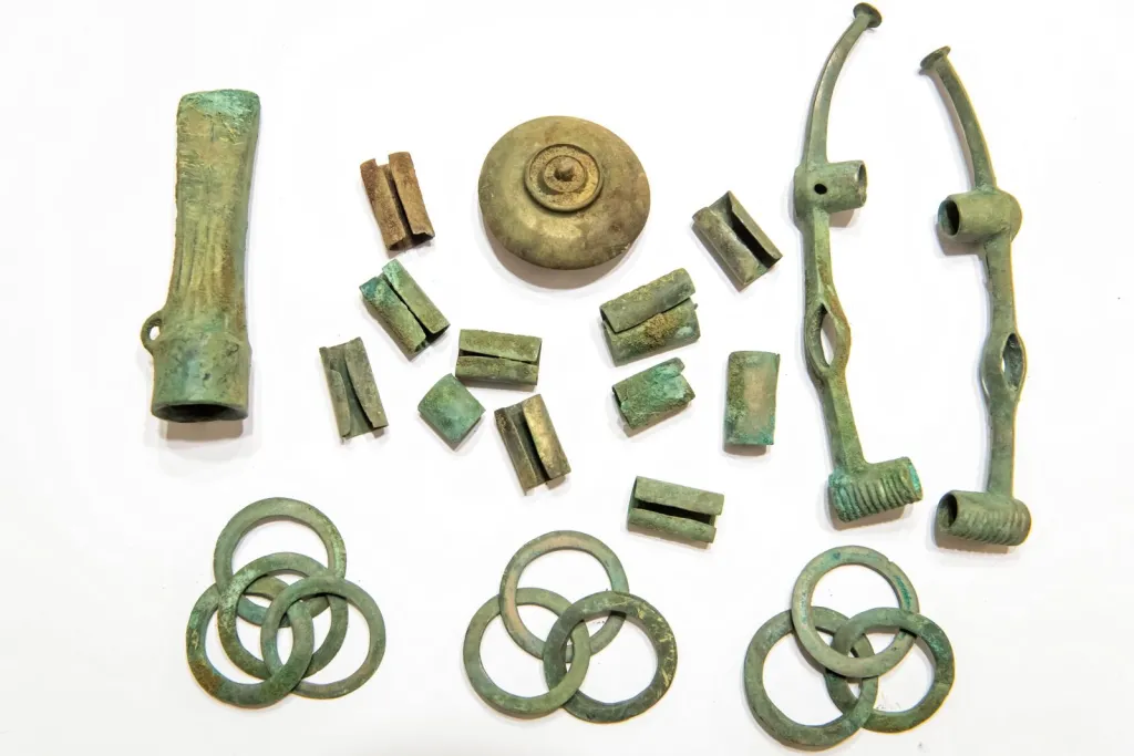 PAP/Tytus Żmijewski