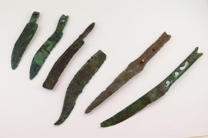 Bronze knives discovered in a swamp. Credit: A. Rausch/Novetus.