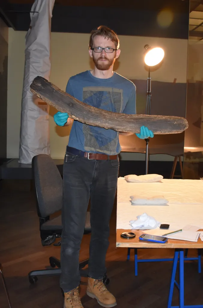 Dr. Rafał Wieczorek during the analyses in the Berlin museum. Credit: R. Wieczorek