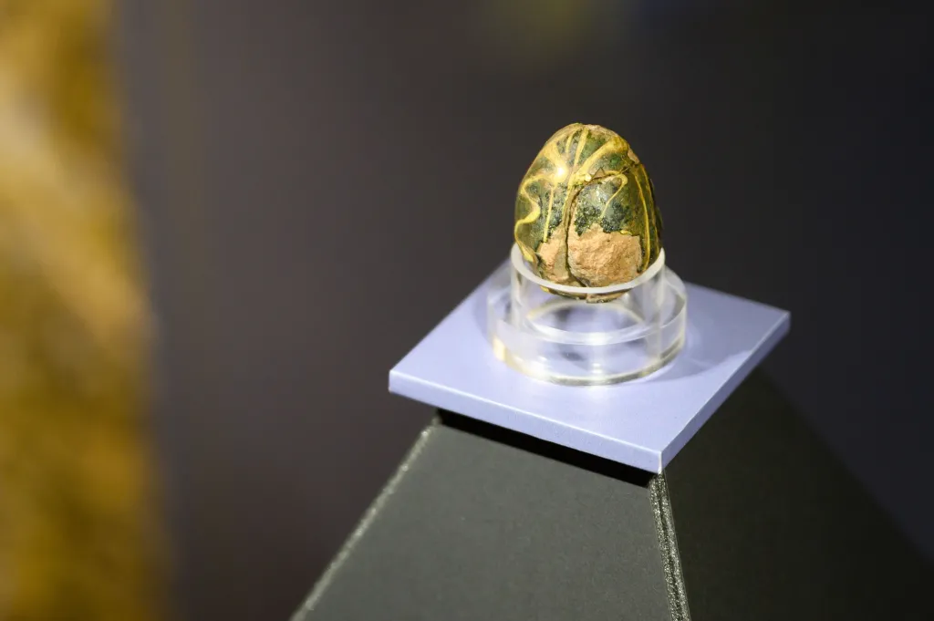  16.04.2025. Fragment wystawy „Bolesław Chrobry z Poznania po władzę i koronę” w Muzeum Archeologicznym w Poznaniu, 16 bm. Ekspozycja jest elementem projektu muzeum Rezerwatu Archeologicznego Genius Loci w Poznaniu przygotowanego z okazji jubileuszu koronacji pierwszego polskiego króla. PAP/Jakub Kaczmarczyk