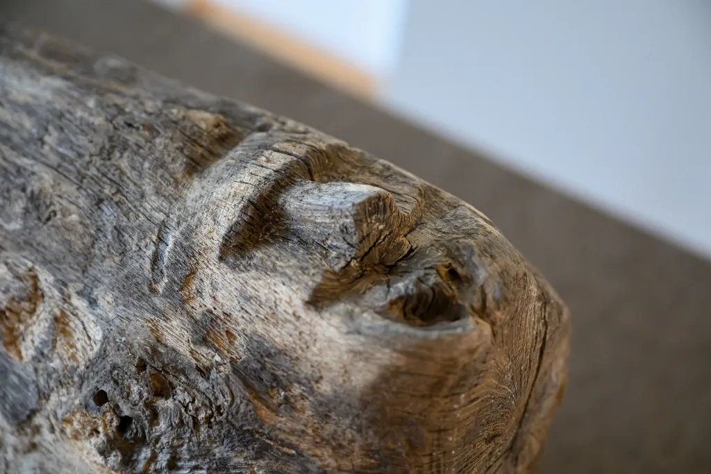  10.07.2025. Wydobyty z Jeziora Lednickiego zdobiony twarzą element konstrukcyjny zaprezentowany podczas konferencji prasowej w siedzibie Muzeum Pierwszych Piastów na Lednicy w Dziekanowicach, 10 bm. Rok ścięcia drewna do wykonania belki konstrukcyjnej oszacowano na 967 (w przedziale czasu między 960 a 975 r.). (ad) PAP/Jakub Kaczmarczyk