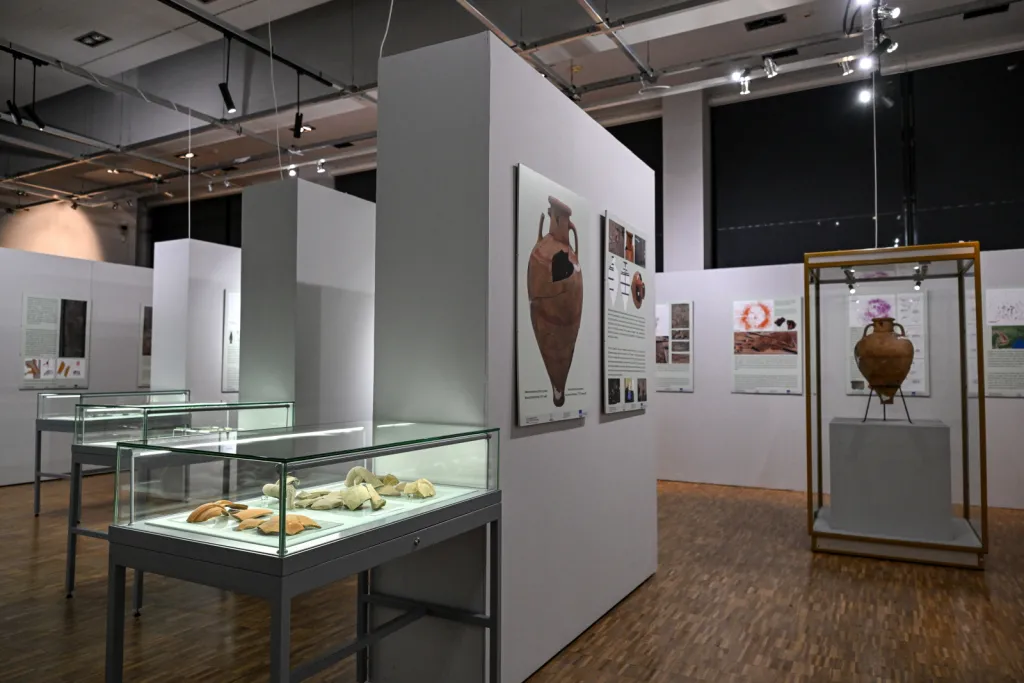 25.11.2025. Otwarcie wystawy „Grodzisko w Chotyńcu. Zachodnia Brama Scytii” w budynku głównym Muzeum Narodowego Ziemi Przemyskiej. PAP/Darek Delmanowicz