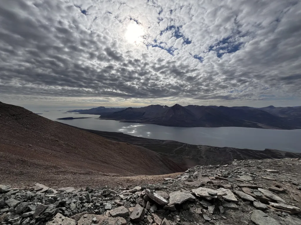 Fot. materiały prasowe