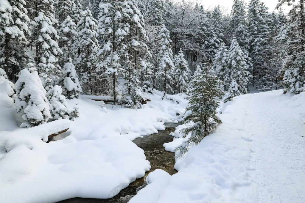 09.01.2026. Zima w Tatrach. PAP/Grzegorz Momot