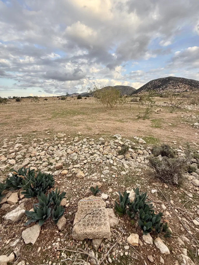 Jedna z plansz do gry znaleziona na terenie antycznego miasta (fot. Zofia Kowarska)