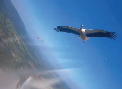 Fot. materiały prasowe UPP