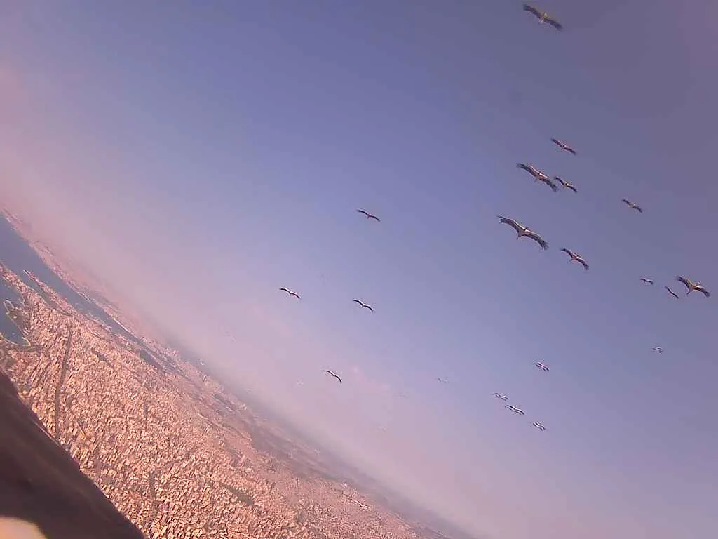 Fot. materiały prasowe UPP