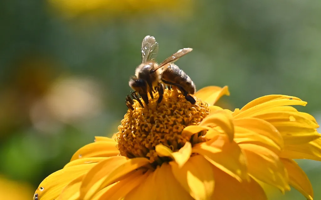 18.08.2022PAP/Marcin Bielecki