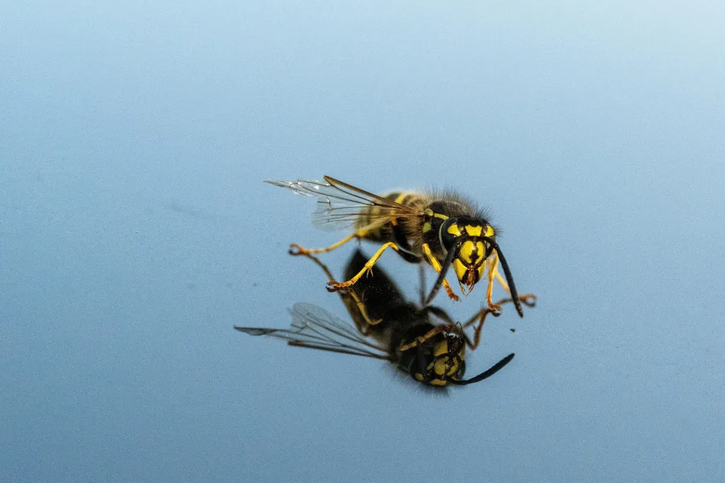 18.08.2024 PAP/Darek Delmanowicz