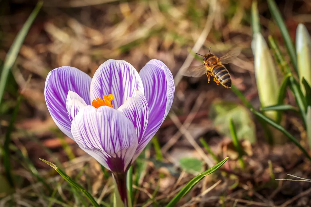 12.03.2025 PAP/Szymon Pulcyn