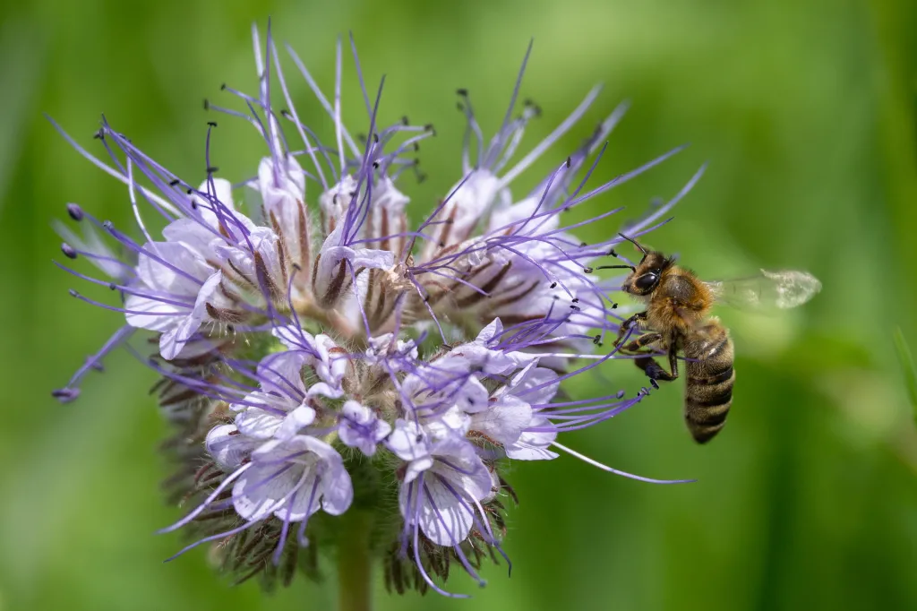 08.06.2025 PAP/Wojtek Jargiło