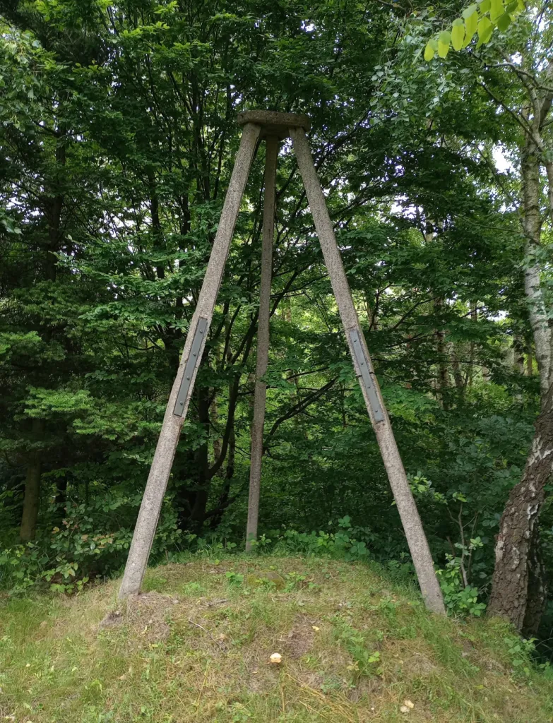 Źródło: Mariusz Meus