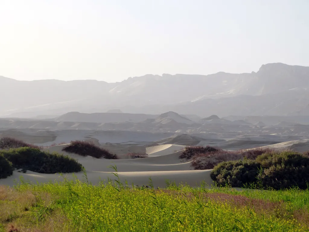 Dakhleh Oasis. The slope of the Libyan Plateau in the background. Credit: Paweł Polkowski: dr Paweł Polkowski