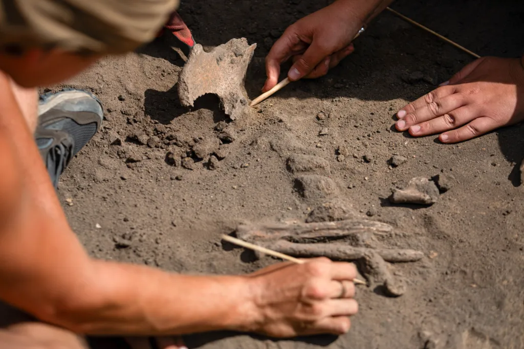  02.09.2026. Prace na stanowisku archeologicznym w miejscowości Żórawina k. Wrocławia, 2 bm. Prace pod kierunkiem szefa Zakładu Archeologii Epoki Brązu i Wczesnej Epoki Żelaza Uniwersytetu Wrocławskiego prof. Tomasza Gralaka mają za zadanie ustalenie pochodzenia odnalezionych osób, wyjaśnienie ich wzajemnych relacji oraz dostarczenie informacji o społecznościach, które około 2900 r. p.n.e. pojawiły się na terenie dzisiejszego Dolnego Śląska. (amb) PAP/Krzysztof Ćwik 