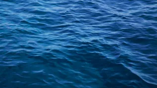 Photo: Fotolia