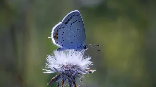 Photo: Fotolia