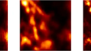 Biological sample: microtubules labelled with quantum dots; from left, the image obtained: in a standard microscope, with the ISM method, with the Q-ISM method. Illustration based on the data presented in the supplement to the publication "Super-resolution enhancement by quantum image scanning microscopy" in "Nature Photonics". (Source: Alexander Krupiński-Ptaszek, Faculty of Physics, University of Warsaw)