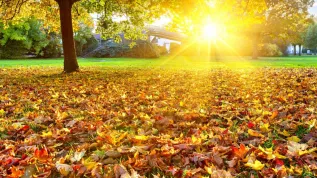 Fot. Fotolia
