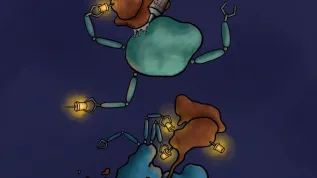 The mechanism of action of the degrader - molecular glue. The degrader CR8 glues the cyclin K/CDK12 complex (brown) with an ubiquitin ligase (green), which leads to ubiquitination of cyclin K (yellow pins). This causes cyclin K degradation by the proteosome, or 'molecular rubbish bin' (blue). Credit: Jonas Koeppel.