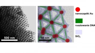 Scientists show how to use silica to achieve stability of super-precise nanostructures made of DNA and nanoparticles. Credit: Paweł Majewski