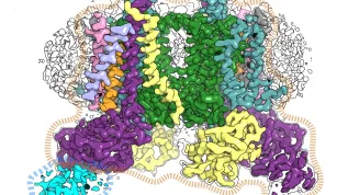 Photo from press release