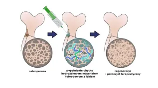 Credit: A.Gilarska, Faculty of Chemistry, Jagiellonian University